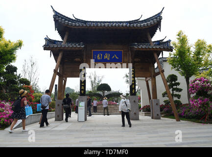 (190613) - Peking, 13. Juni 2019 (Xinhua) - Touristen besuchen die Fujian Garten während Peking Internationale Gartenbauausstellung in Peking, der Hauptstadt von China, 13. Juni 2019. Die fujian Tag Fall trat weg hier am Donnerstag. (Xinhua/Ren Chao) Stockfoto