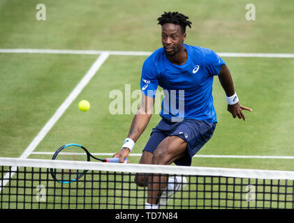 Stuttgart, Deutschland. 14 Juni, 2019. Stuttgart, Deutschland. 14 Juni, 2019. Stuttgart, Deutschland. 14 Juni, 2019. Stuttgart, Deutschland. 14 Juni, 2019. Stuttgart, Deutschland. 13. Juni, 2019. Tennis: ATP-Tour: Stuttgart, Einzelne, Männer, Runde 16: Monfils (Frankreich) - kudla (USA). Gael Monfils in Aktion. Credit: Silas Stein/dpa/Alamy Leben Nachrichten Quelle: dpa Picture alliance/Alamy Leben Nachrichten Quelle: dpa Picture alliance/Alamy leben Nachrichten Stockfoto