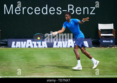 Stuttgart, Deutschland. 13. Juni, 2019. Gael MONFILS (FRA) in Aktion in seinem Match gegen Denis KUDLA (USA) beim Tennis ATP Mercedes Öffnen auf Gras in Stuttgart, 13. Juni 2019. Credit: Peter Schatz/Alamy leben Nachrichten Stockfoto