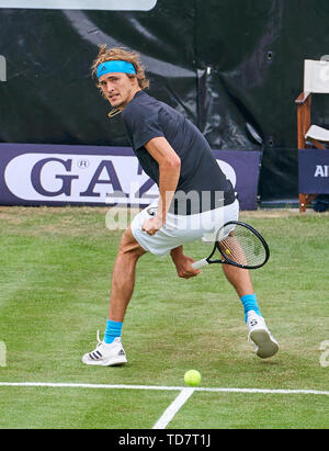 Stuttgart, Deutschland. 13. Juni, 2019. Alexander ZVEREV, GER in seinem Match gegen Dustin Brown (GER) im Tennis ATP Mercedes Öffnen auf Gras in Stuttgart, 13. Juni 2019. Credit: Peter Schatz/Alamy leben Nachrichten Stockfoto