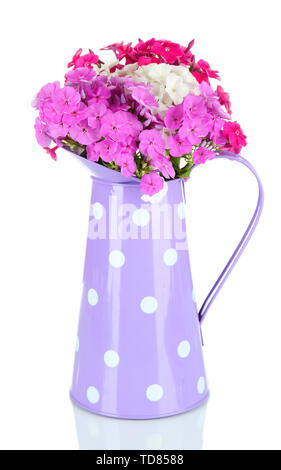 Schönen Blumenstrauß der Phlox in Gießkanne auf Weiß isoliert Stockfoto