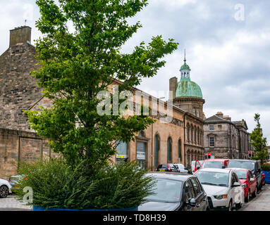 Bäume in großen Töpfen erscheinen in der Straße parken, Corn Exchange, Verfassung, Leith Street, Edinburgh, Schottland, Großbritannien Stockfoto