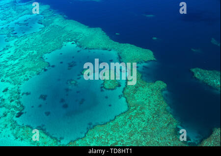 Great Barrier Reef, Korallenriff, Insel, Overhead, Luftaufnahmen Panoramaaussicht Stockfoto