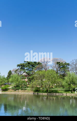 City Park, See Landschaft Stockfoto