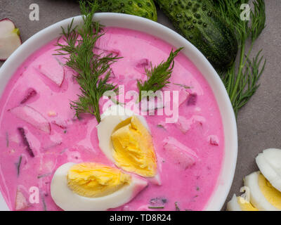 Traditionelle Belorussische, Lettisch, Litauisch, Polnisch, Russisch und Ukrainisch Suppe mit Mangold oder rote Bete, Gurken, Radieschen, Sauerrahm, gesäuerte m Stockfoto