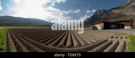 Kartoffelfeld frisch im Frühjahr gepflügt, Schweizer Alpen in der Nähe von Flums Stockfoto