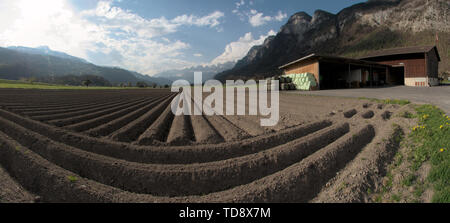 Kartoffelfeld frisch im Frühjahr gepflügt, Schweizer Alpen in der Nähe von Flums Stockfoto