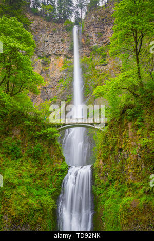 Multnomah Falls ist ein Wasserfall in der Columbia River Gorge, östlich von Troutdale, zwischen Corbett und Dodson, California, United States. Stockfoto