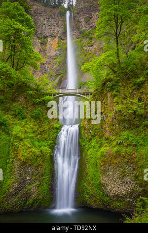 Multnomah Falls ist ein Wasserfall in der Columbia River Gorge, östlich von Troutdale, zwischen Corbett und Dodson, California, United States. Stockfoto