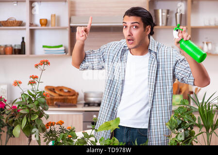 Jungen gutaussehenden Mann Blumen zu Hause pflegen Stockfoto