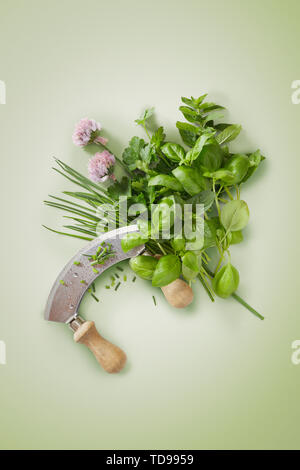 Gebogene mezzaluna Messer mit frische Kräuter wie Basilikum, Minze, Schnittlauch, Koriander oder cilantro auf grünem Hintergrund mit Kopie Raum in einer Wohnung Stockfoto