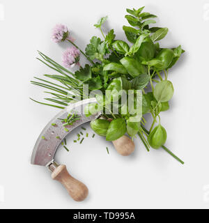 Mezzaluna Messer mit einer Auswahl an frischen grünen Kräuter und Schnittlauch Blumen auf einem weißen Quadrat Hintergrund in einer Flach food Still Life Stockfoto