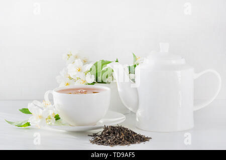 Tasse grünen Tee White Jasmin Jasmin, Teekanne auf weißem Hintergrund. Teatime. Stockfoto