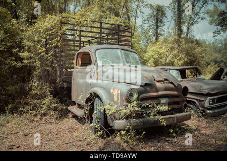 Am Straßenrand verrosteten alten Ford Lkw und Pkw in Florida Stockfoto