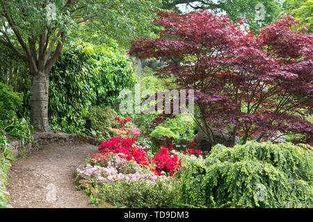 Pfad durch RHS Wisley Gardens, Surrey, Großbritannien Stockfoto