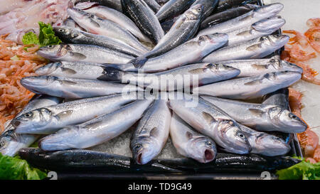 Frischer Fisch und Meeresfrüchte Wolfsbarsch auf Eis auf dem Fischmarkt Stockfoto