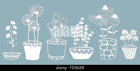 Echinacea, Kamille, schefler, edle Leberblümchen, zephyrantes, stokesia. Vector Illustration. Satz von Papier Blumen in Töpfe, Aufkleber. Laser geschnitten. Set Temp Stock Vektor