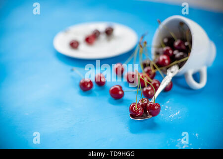 Weiße Tasse mit reife Beeren rot Sweet cherry und einige Beeren vor der Schale. Zusammensetzung auf einem blauen Hintergrund. red cherry Beeren in Stockfoto