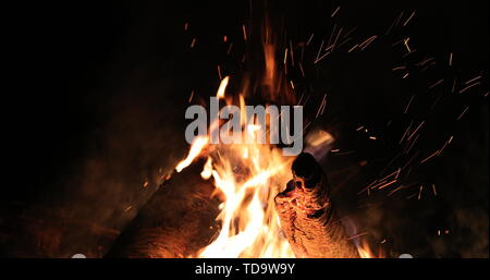 Hell lodernde Feuer und Holz in der Nacht. Stockfoto