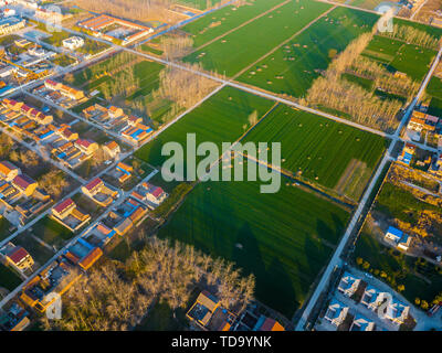 In Hongze District, Ningbo City, Provinz Jiangsu fotografiert. Stockfoto