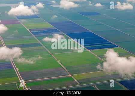 Belle Glade, Florida - ein Luftbild von Feldern in der Nähe von Lake Okeechobee in Südflorida. Stockfoto