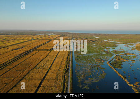 Sino-Russian border See Xingkai See Herbst Farbe Stockfoto