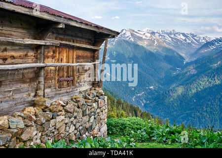 Grüne Natur, verschneite Berge und traditionelle Holzplateauhäuser (yayla evi) des Sal Plateauens, Region Karadeniz in der Türkei. Stockfoto