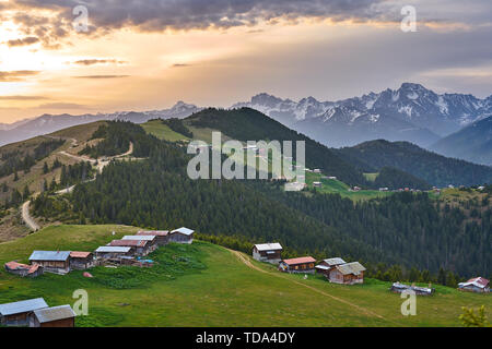 Sunrise Landschaft von Pokut und Sal Hochebenen, mit schneebedeckten Bergen, Wolken und grüne Natur, Kackar Berge, Rize, Nordosten der Türkei Stockfoto