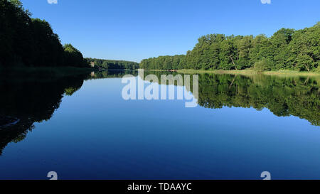 Berlin, Deutschland. 14 Juni, 2019. Die Bäume rund um den See Grunewald sind im Wasser wider. Credit: Paul Zinken/dpa/Alamy leben Nachrichten Stockfoto