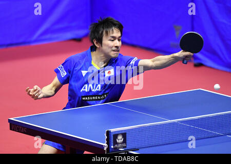 Sapporo, Hokkaido, Japan. Credit: MATSUO. 14 Juni, 2019. Koki Niwa (JPN) Tischtennis: 2019 ITTF World Tour, LION Japan Open Sapporo Männer Singles an hokkai Kitayell in Sapporo, Hokkaido, Japan. Credit: MATSUO. K/LBA SPORT/Alamy leben Nachrichten Stockfoto