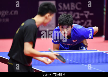 Sapporo, Hokkaido, Japan. Credit: MATSUO. 14 Juni, 2019. Tomokazu Harimoto (JPN) Tischtennis: 2019 ITTF World Tour, LION Japan Open Sapporo Männer Singles an hokkai Kitayell in Sapporo, Hokkaido, Japan. Credit: MATSUO. K/LBA SPORT/Alamy leben Nachrichten Stockfoto