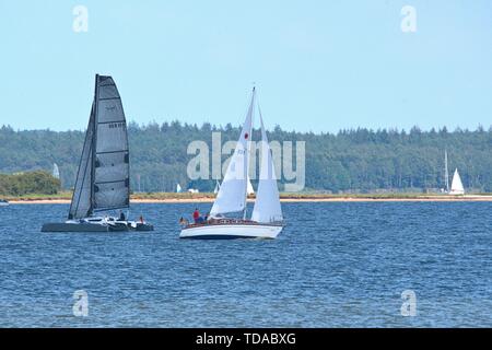 Schleswig, Deutschland. 09 Juni, 2019. 09.06.2019, die Schlei in Schleswig. Die ostseefjord, ein Ostsee Einlass mit brackigem Wasser gefüllt, ist ein beliebtes Segelrevier. Zwei Segelboote auf dem Wasser mit Reesholm im Hintergrund. | Verwendung der weltweiten Kredit: dpa/Alamy leben Nachrichten Stockfoto