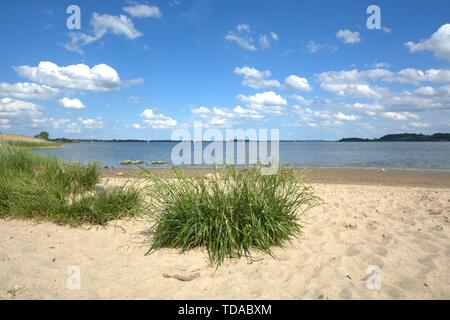 Schleswig, Deutschland. 09 Juni, 2019. 09.06.2019, wird die Schleife in Schleswig aus dem Stadtteil "Auf der Freiheit". Die ostseefjord, ein Ostsee Einlass mit brackigem Wasser gefüllt, ist ein beliebtes Segelrevier. | Verwendung der weltweiten Kredit: dpa/Alamy leben Nachrichten Stockfoto