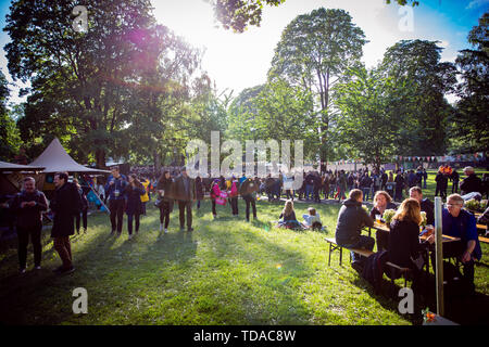 Oslo, Norwegen. 13. Juni, 2019. Norwegen, Oslo - Juni 13., 2019. Festivalbesucher an einem live Konzert mit der englischen Band The Scharlatane an der Norwegischen Musik Festival Piknik i Sunnfjord 2019 in Oslo. (Foto: Gonzales Foto/Alamy leben Nachrichten Stockfoto