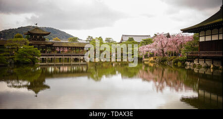Kyoto, Japan - Apr 6, 2014. Alte Holz- Palast mit Cherry Blossom bei Heian Jingu Schrein in Kyoto, Japan. Stockfoto