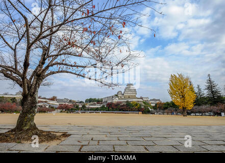 Himeji Castle und Ginkgo Baum im Herbst. Die Burg ist Japan eine einzigartige Architektur, die im 17. Jahrhundert gebaut. Stockfoto