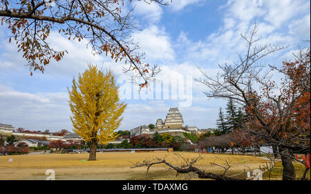 Himeji Castle und Ginkgo Baum im Herbst. Die Burg ist Japan eine einzigartige Architektur, die im 17. Jahrhundert gebaut. Stockfoto