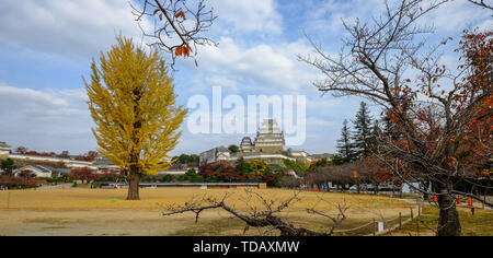 Himeji Castle und Ginkgo Baum im Herbst. Die Burg ist Japan eine einzigartige Architektur, die im 17. Jahrhundert gebaut. Stockfoto