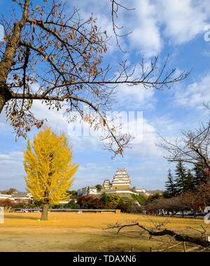 Himeji Castle und Ginkgo Baum im Herbst. Die Burg ist Japan eine einzigartige Architektur, die im 17. Jahrhundert gebaut. Stockfoto