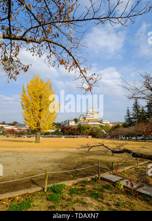 Himeji Castle und Ginkgo Baum im Herbst. Die Burg ist Japan eine einzigartige Architektur, die im 17. Jahrhundert gebaut. Stockfoto