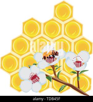 Eine Wabe und eine Biene auf einer Blume Vector Illustration auf weißem Hintergrund Stock Vektor