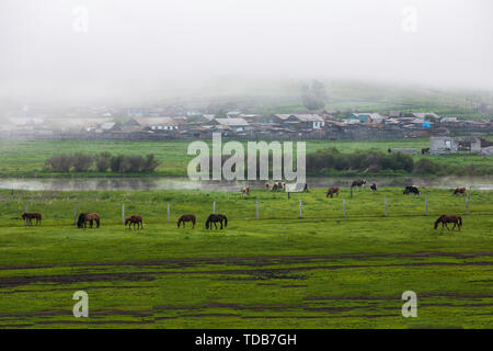 Die pastorale Landschaft der chinesisch-russischen Grenze Stockfoto