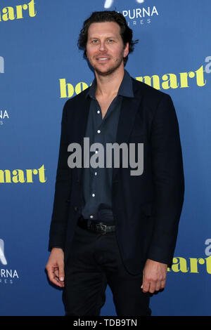 "Booksmart 'Premiere am Theater im Ace Hotel am 13. Mai 2019 in Los Angeles, CA bietet: Hayes MacArthur Wo: Los Angeles, Kalifornien, Vereinigte Staaten, wenn: 14. Mai 2019 Credit: Nicky Nelson/WENN.com Stockfoto