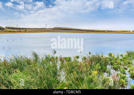 Paddock Damm auf dem Mond See Herbst Farbe Stockfoto