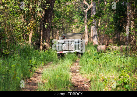 CHITWAN NATIONALPARK NEPAL - ca. Mai 2019: Ein Jahrgang Land Rover Serie II wird in Chitwan Nationalpark Dschungel gefahren. Das Auto hat Veränd. Stockfoto