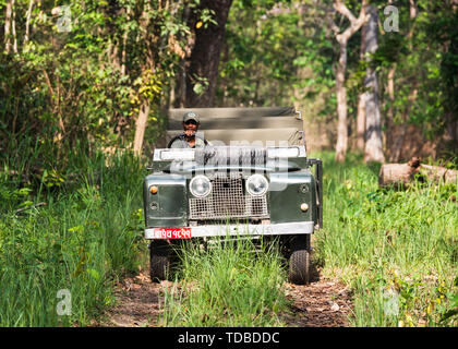 CHITWAN NATIONALPARK NEPAL - ca. Mai 2019: Ein Jahrgang Land Rover Serie II wird in Chitwan Nationalpark Dschungel gefahren. Das Auto hat Veränd. Stockfoto