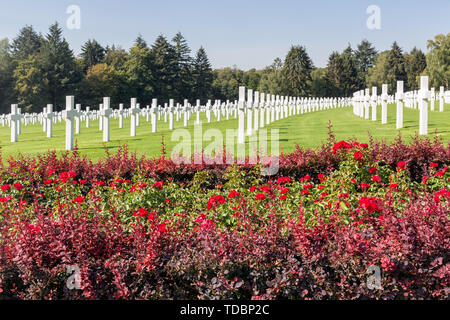 American WW2 Friedhof mit Rose Bush und Grabsteine in Luxemburg Stockfoto