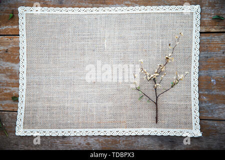 getrocknete Blumen Stockfoto