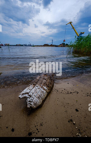 Gewitterwolken bilden über grüne Wiesen und Weiden durch den Fluss am 13. Juni 2019. Riga, Lettland Stockfoto