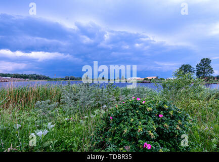 Gewitterwolken bilden über grüne Wiesen und Weiden durch den Fluss am 13. Juni 2019. Riga, Lettland Stockfoto